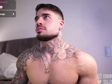 dominic sulliva